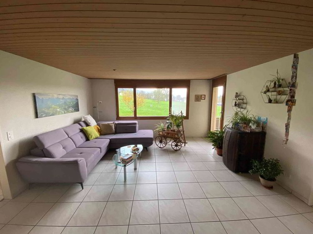 Wohnung – Gisikon, Blumenhof