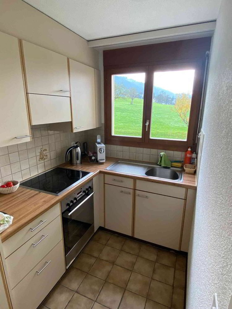Wohnung – Gisikon, Blumenhof - Ansicht 4