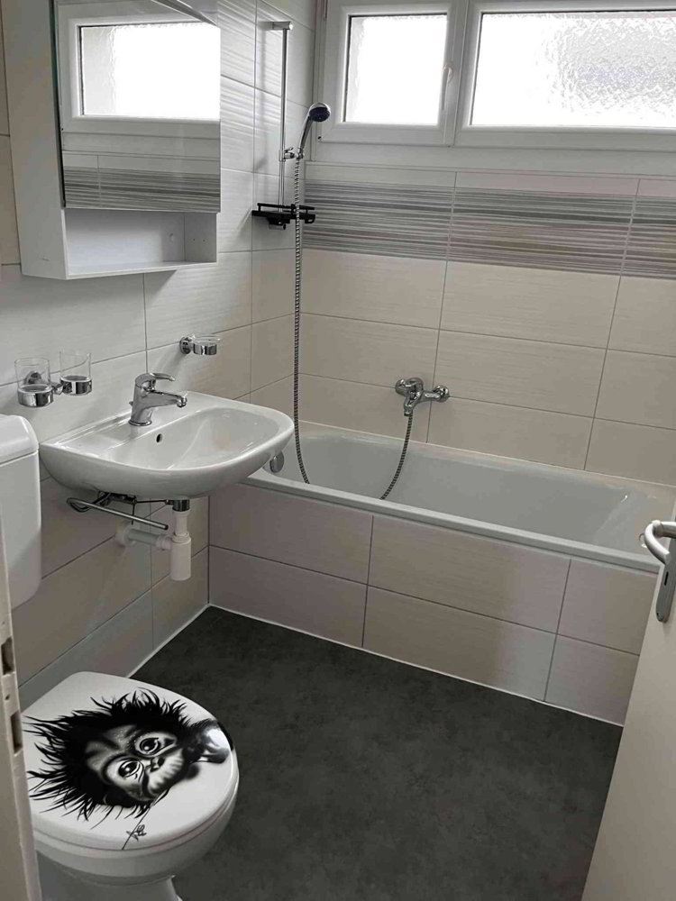4.5 Zimmer Wohnung zu vermieten in Massongex - Bild 1/8