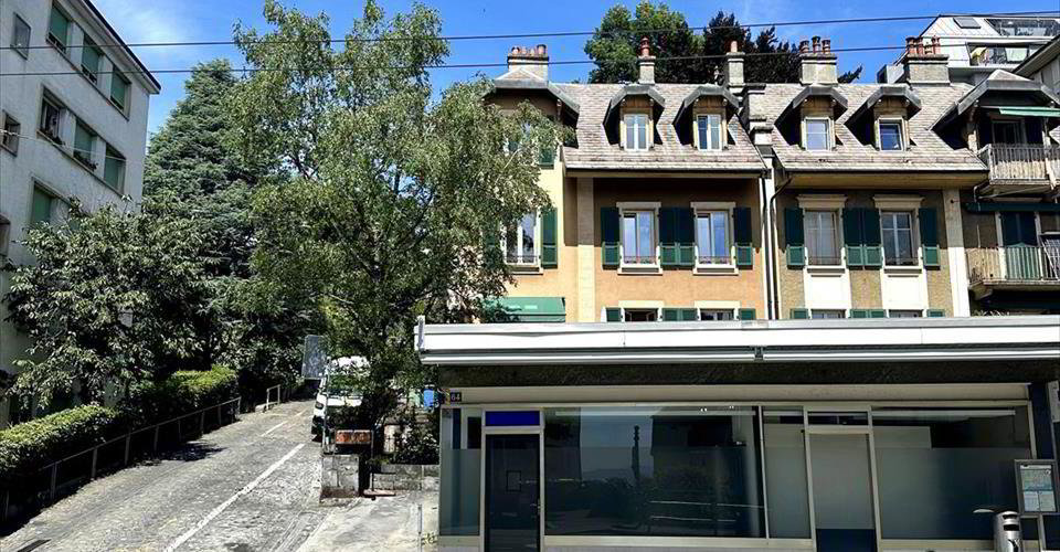 null rooms Office & Commercial for rent in Lausanne - image 1/3