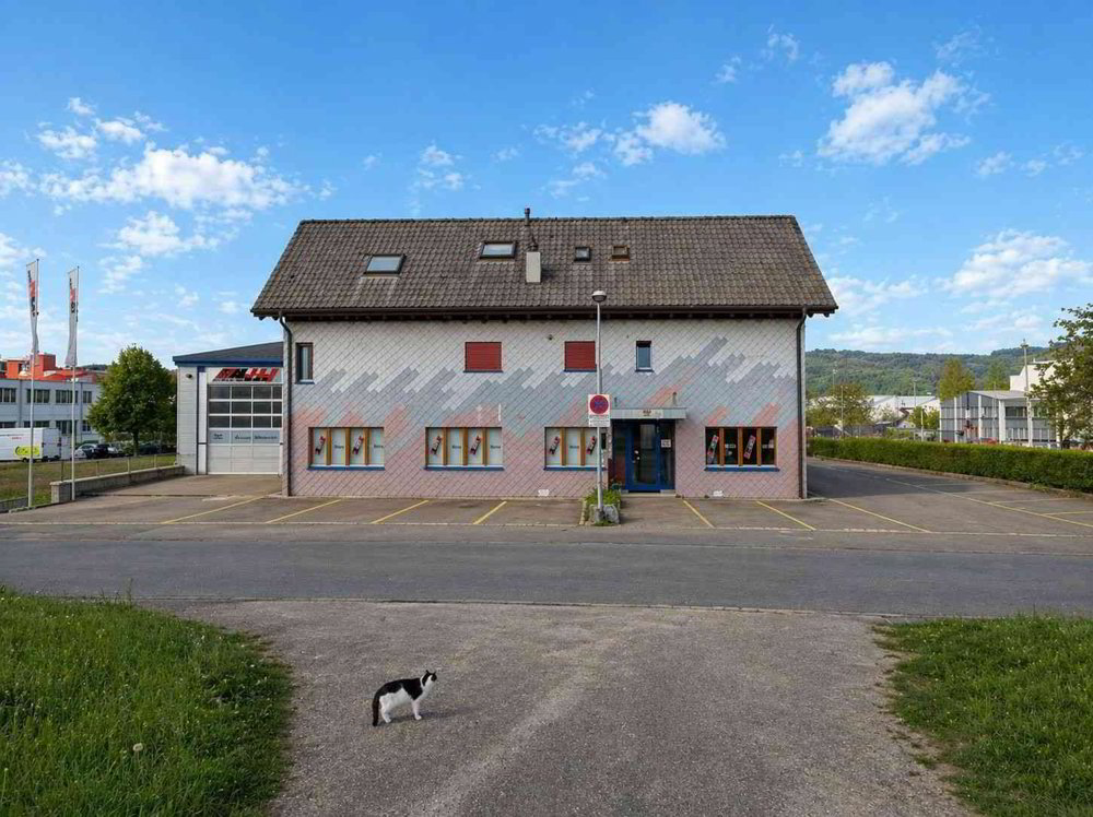 3.5 Zimmer Wohnung zu vermieten in Wohlen AG - Bild 1/12