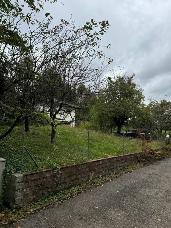 Grundstück mit 1'442 m² mit bestehendem EFH aus dem Jahr 1980 - Ansicht 4