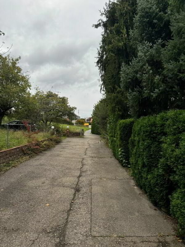 Grundstück mit 1'442 m² mit bestehendem EFH aus dem Jahr 1980 - Ansicht 5