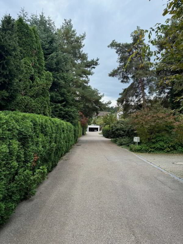 Grundstück mit 1'442 m² mit bestehendem EFH aus dem Jahr 1980 - Mehr