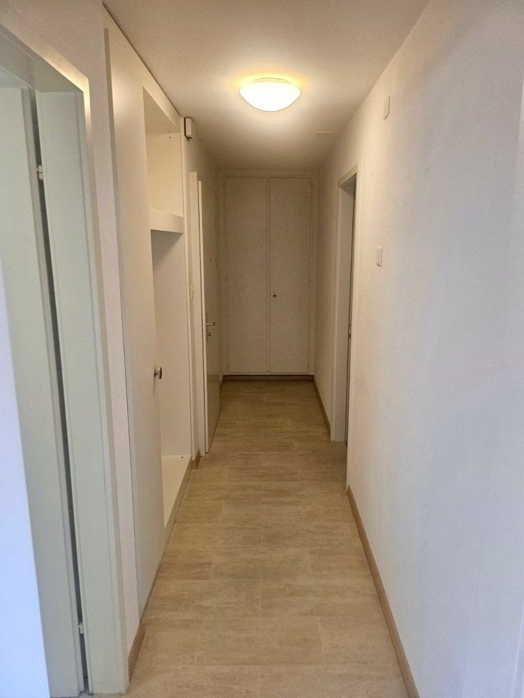 Wohnung – Dulliken, Amtei Olten-Gösgen - Ansicht 2