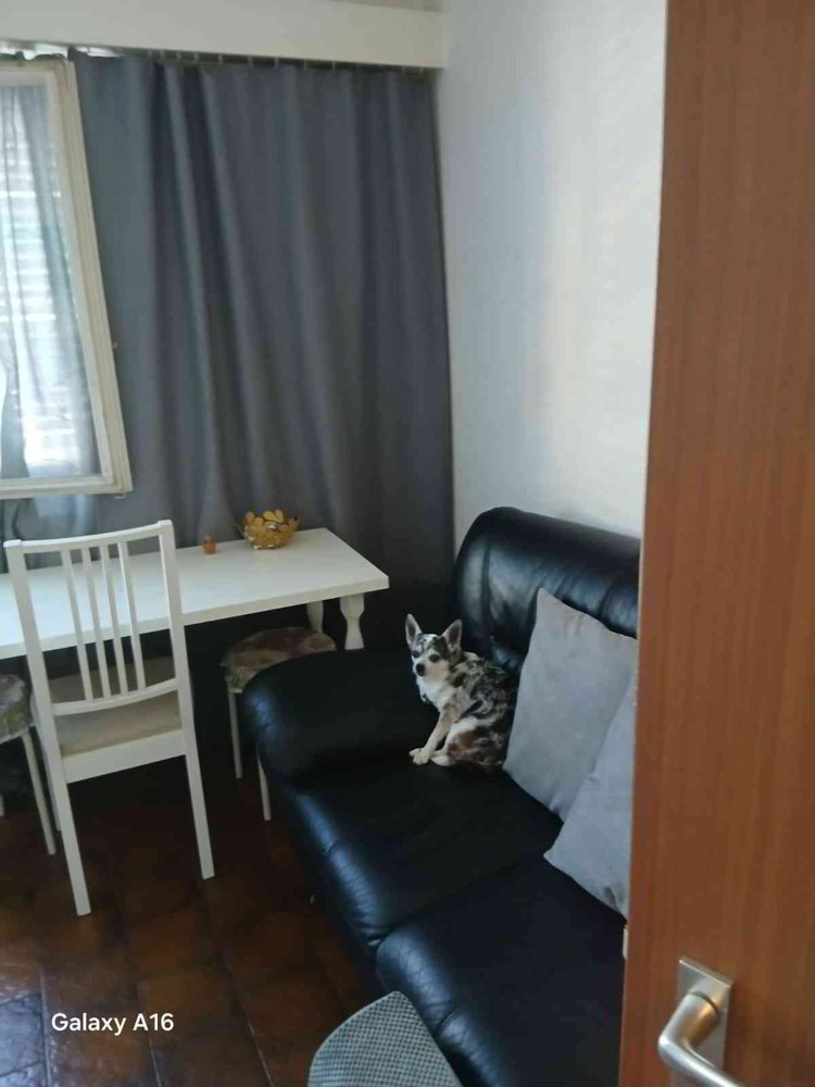 Wohnung – Lugano - Mehr