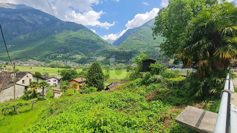 EDIFICABILE IN POSIZIONE SOLEGGIATA E CON VISTA APERTA - Ansicht 2