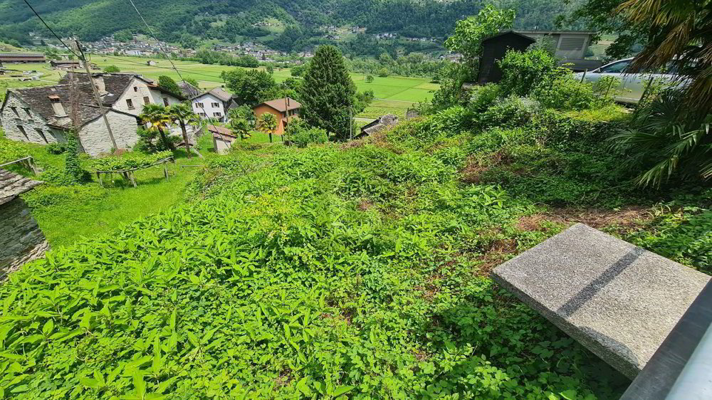 EDIFICABILE IN POSIZIONE SOLEGGIATA E CON VISTA APERTA - Ansicht 4