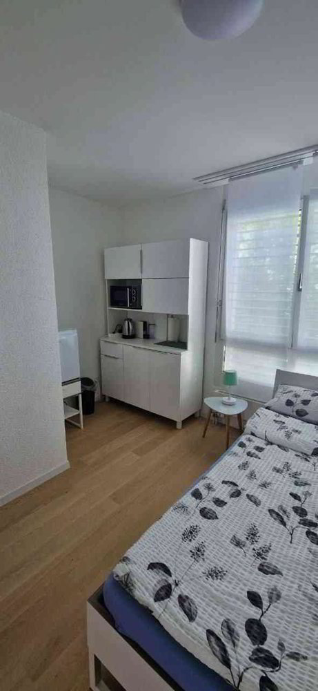 Wohnung – Langwiesen
