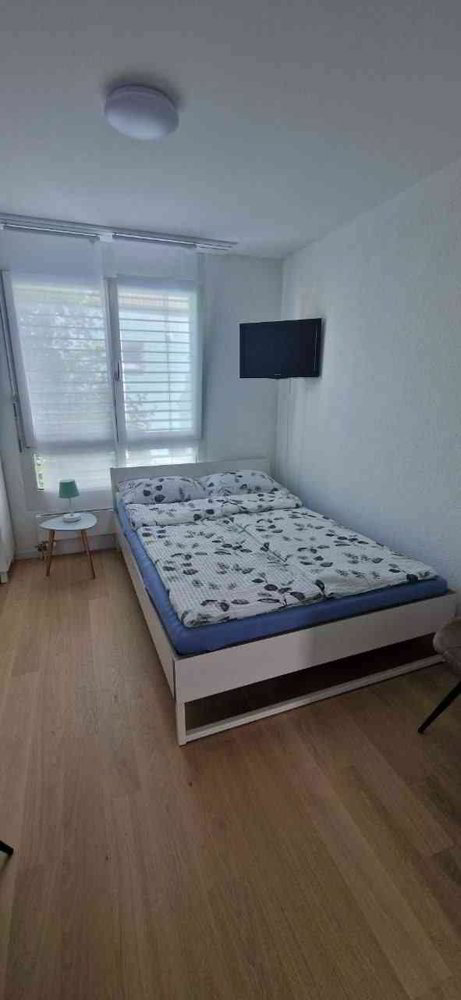 Wohnung – Langwiesen - Ansicht 2