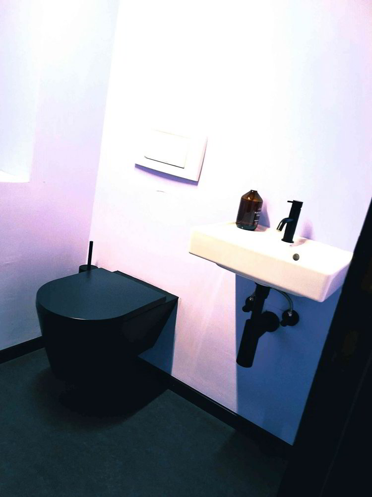 2.5 rooms Office & Commercial for rent in Rapperswil SG - image 1/13