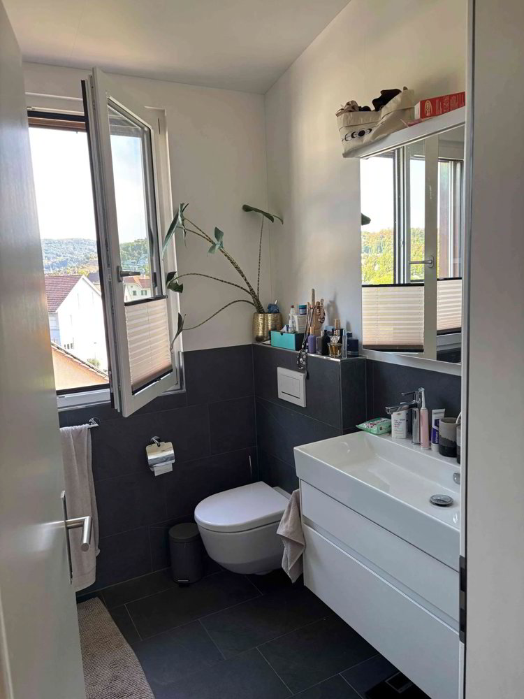 Wohnung – Wettingen, Bezirk Baden - Ansicht 5