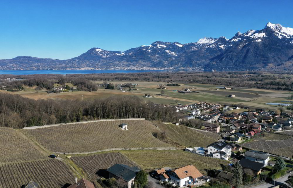 5 rooms House to buy in Bouveret - image 1/9