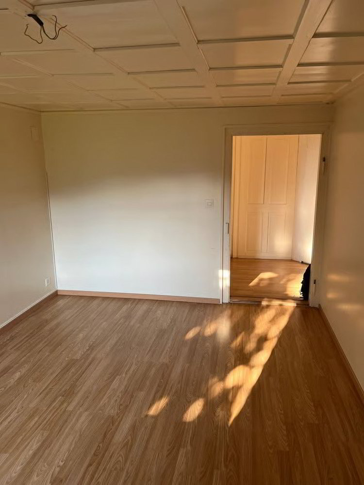 2 rooms Apartment for rent in Wolfhalden - image 1/9