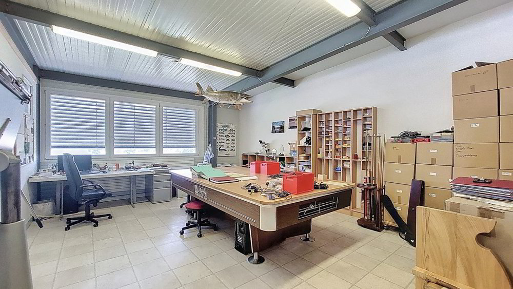Ufficio & Commercio di null locali in affitto a Cressier FR - immagine 1/13