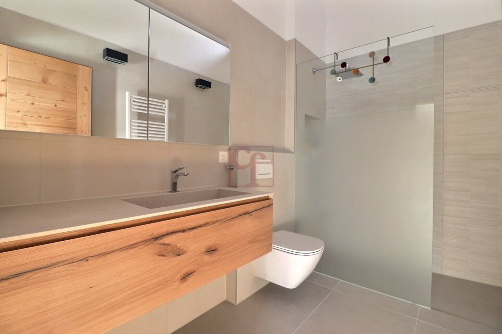 Casa di 5 locali in vendita a Albeuve - immagine 1/13