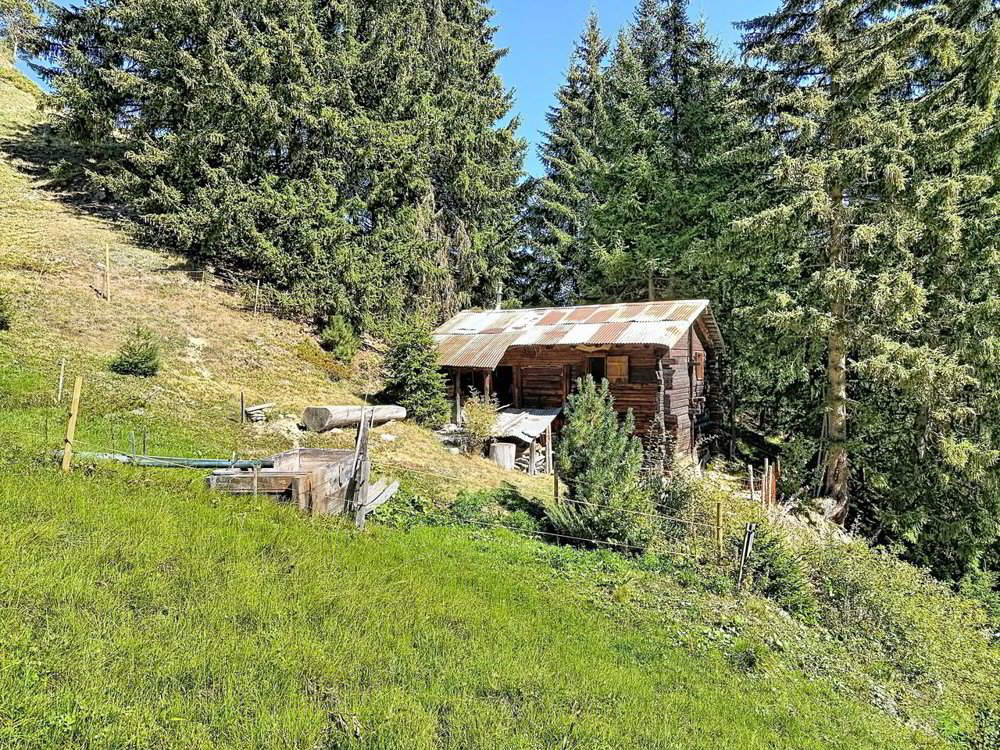 Ein Stück Nassgeschichte auf 1.700 m