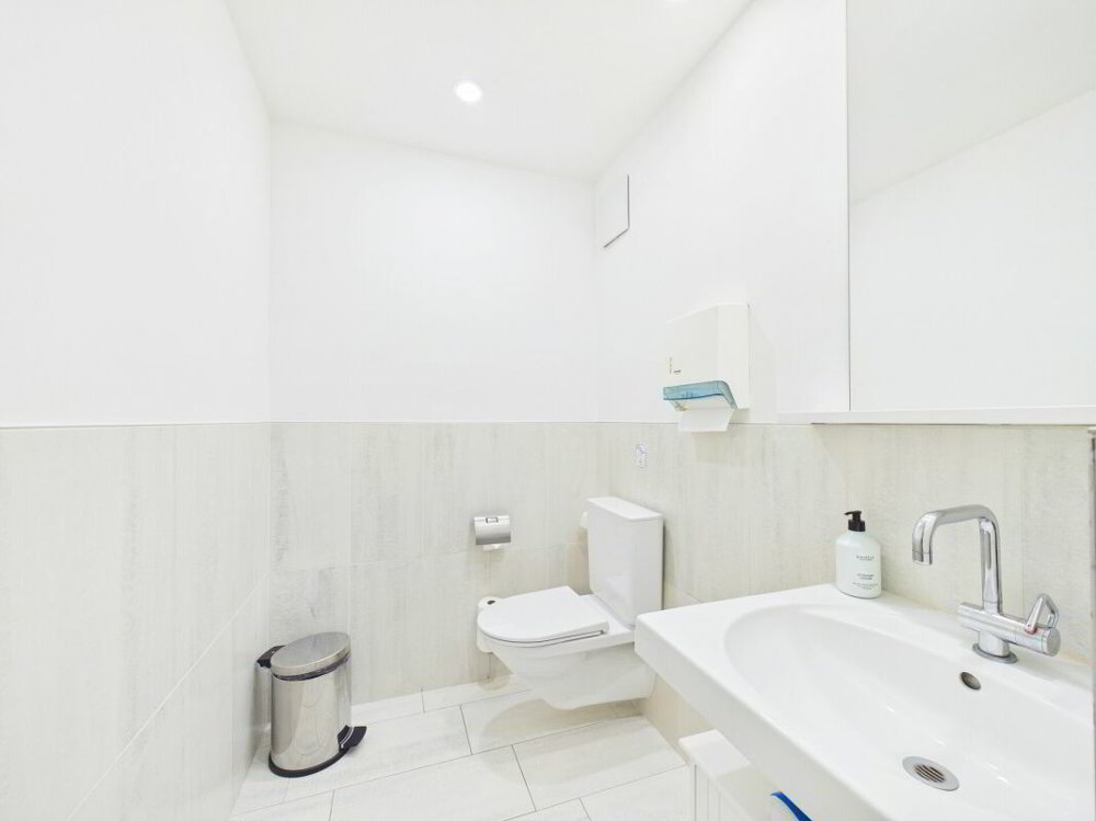 5 rooms Office & Commercial for rent in Zürich - image 1/13