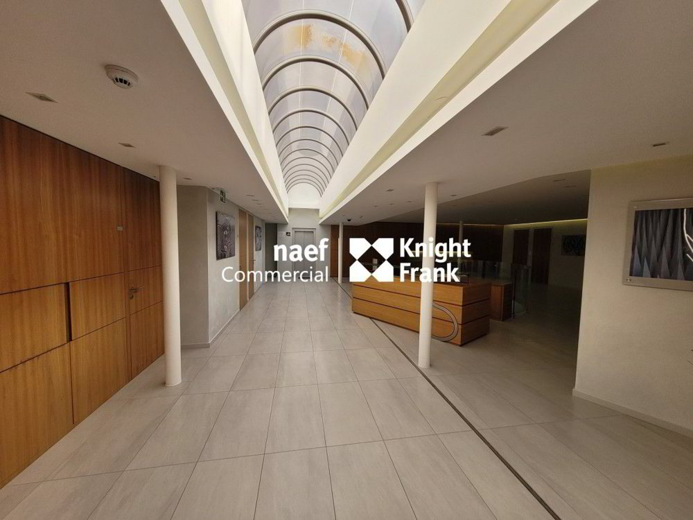 Malagnou - Bureau de 485 m² au rez-supérieur - Ansicht 2