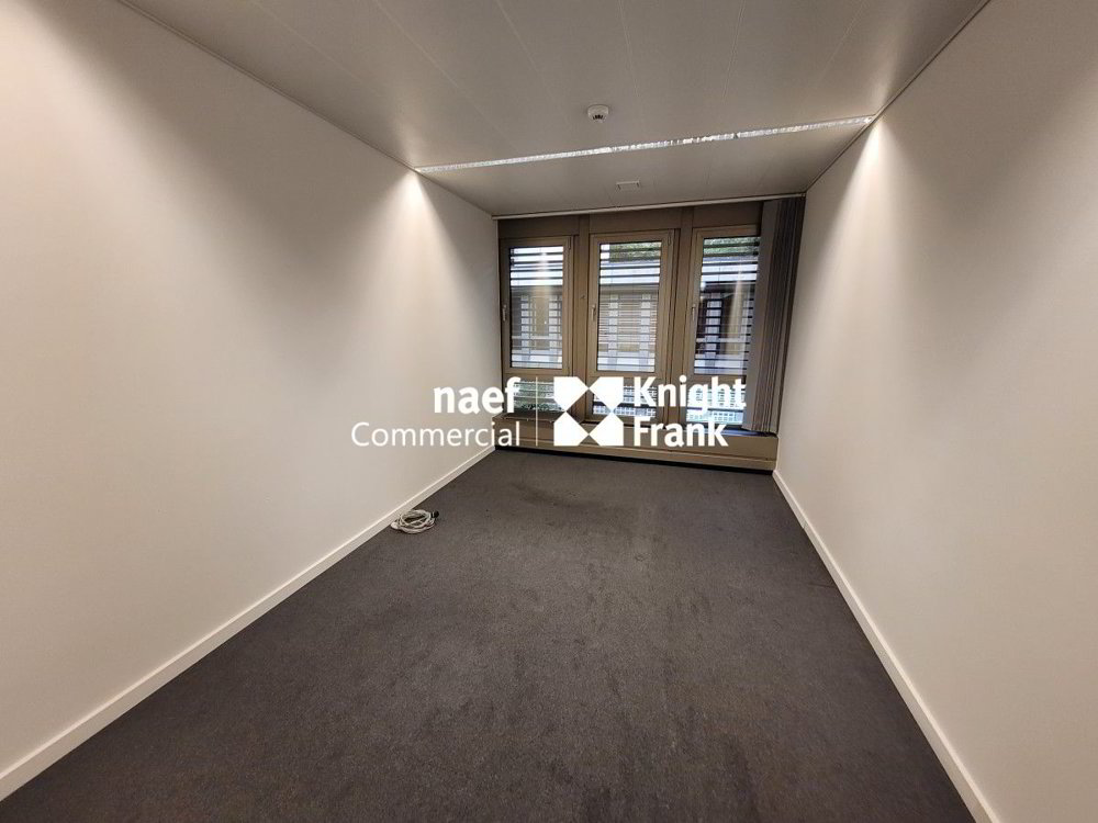 Malagnou - Bureau de 485 m² au rez-supérieur - Ansicht 4