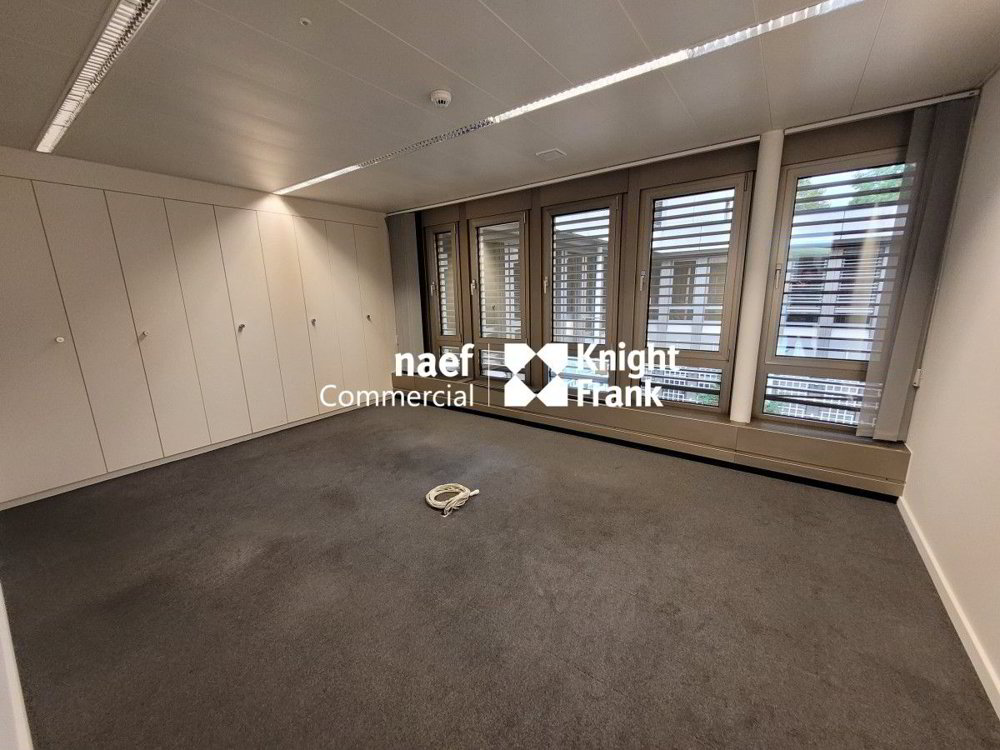 Malagnou - Bureau de 485 m² au rez-supérieur - Ansicht 5