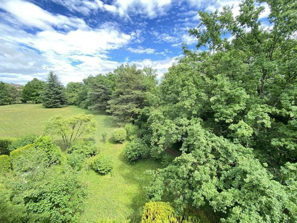 5 rooms Apartment to buy in Cologny - image 1/1