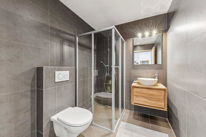 7.5 rooms House to buy in La Roche FR - image 1/13
