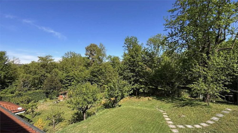 5 Zimmer Haus zum verkaufen in Giswil - Bild 1/47