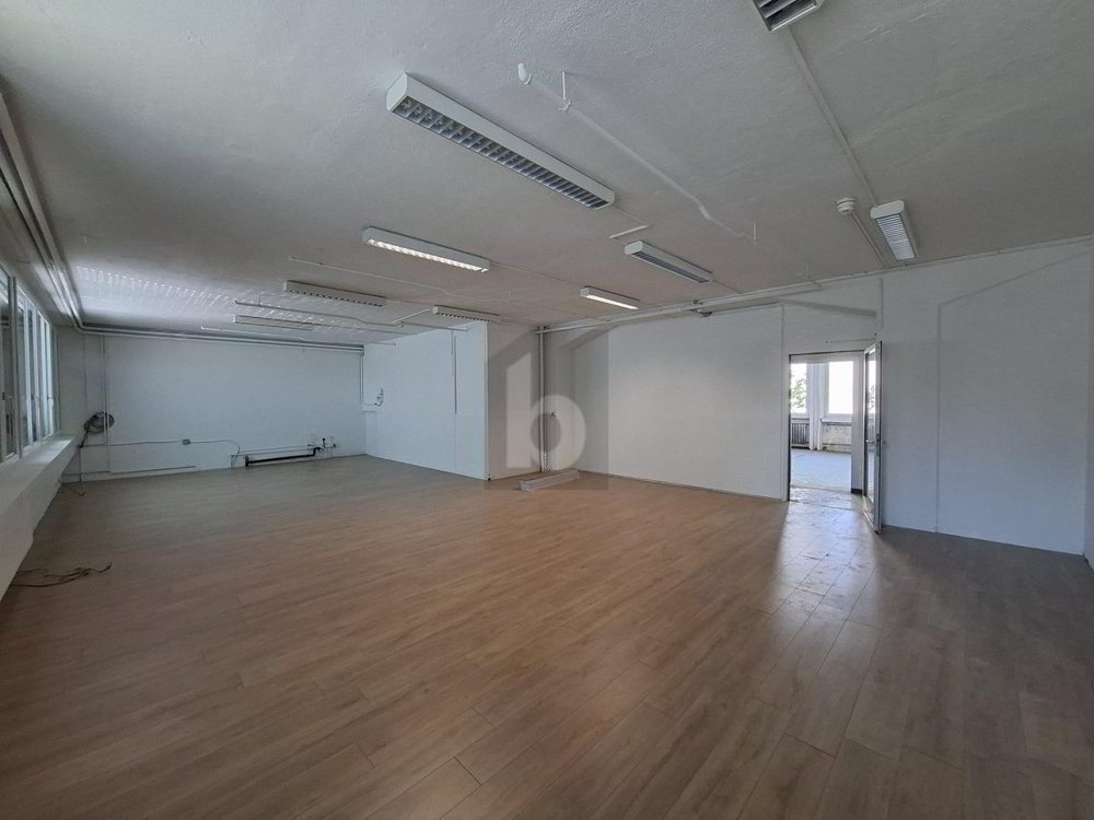 Local commercial de 4 pièces en location à Stansstad - 1 140 m² - Ansicht 2