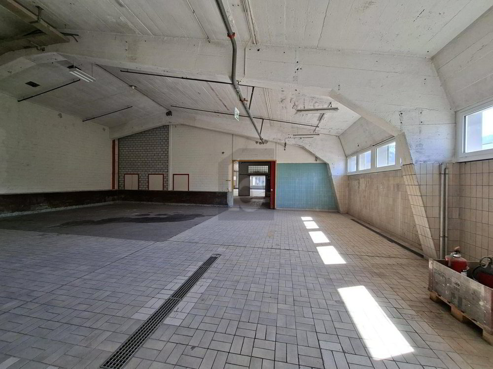 Local commercial de 4 pièces en location à Stansstad - 1 140 m² - Ansicht 4