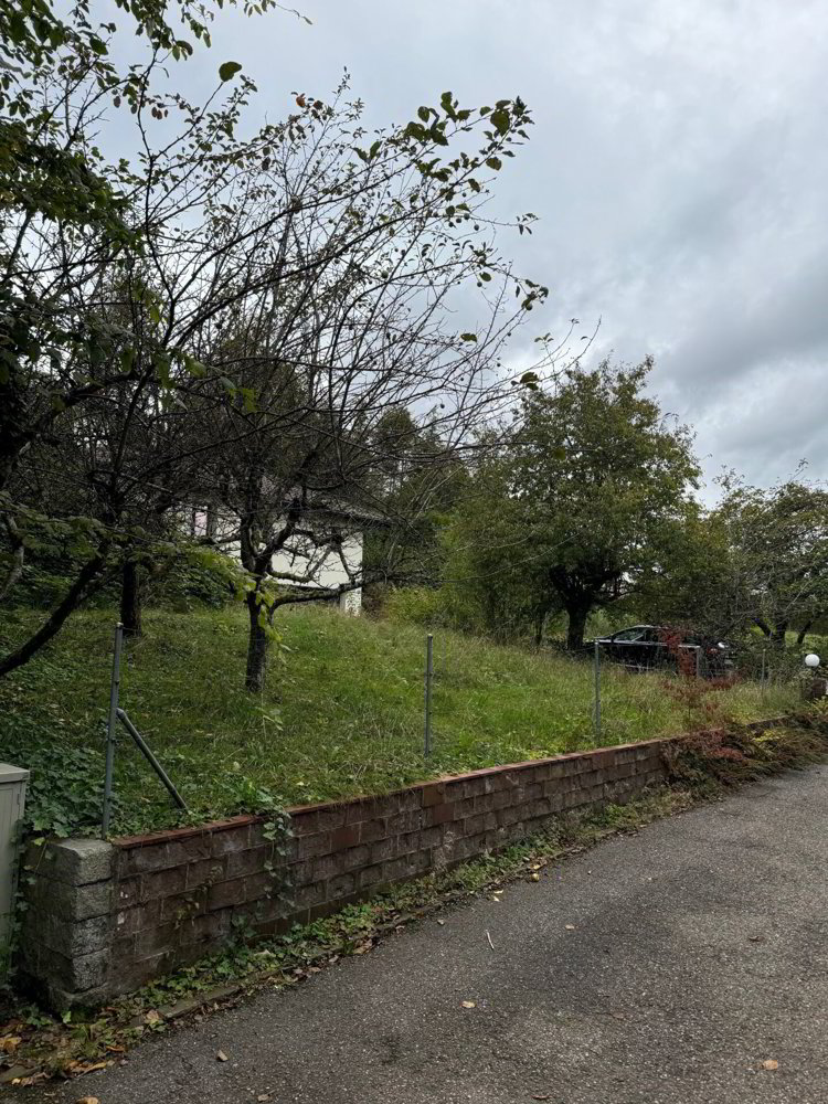 EFH (sanierungsbedürftig) mit 1'442 m² grossem Grundstück - Ansicht 4