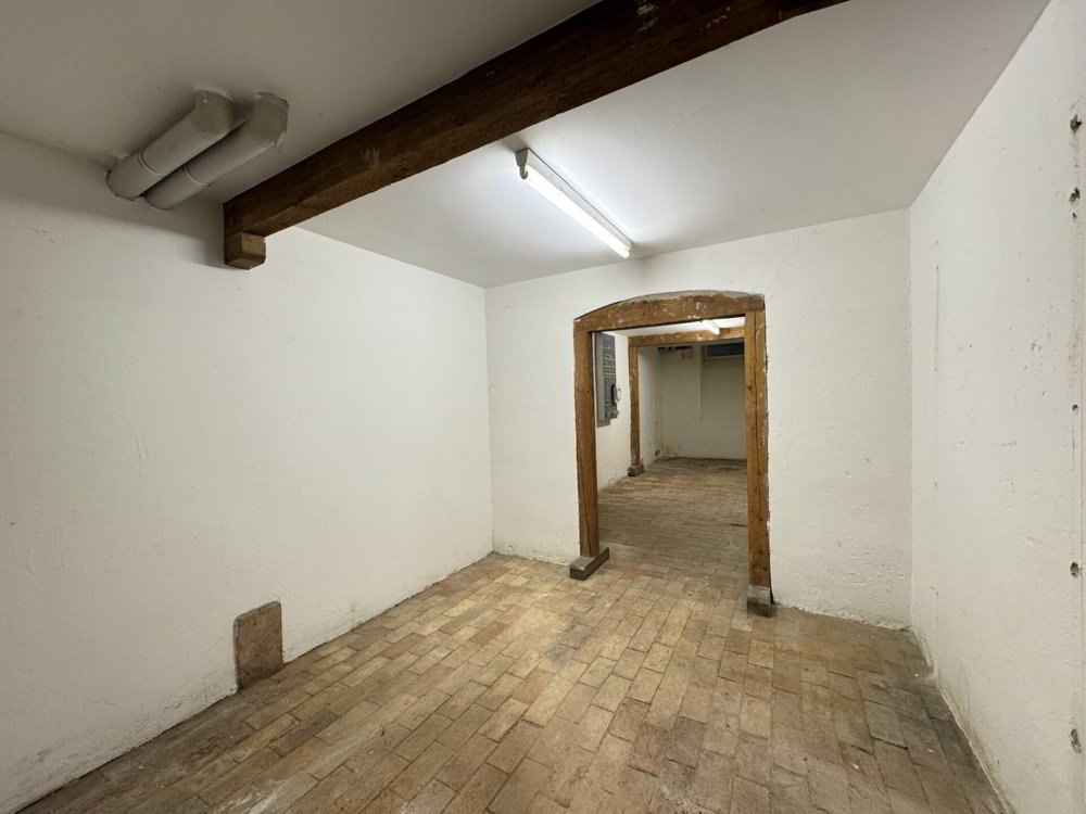 12 Zimmer Haus zum verkaufen in Basel - Bild 1/21