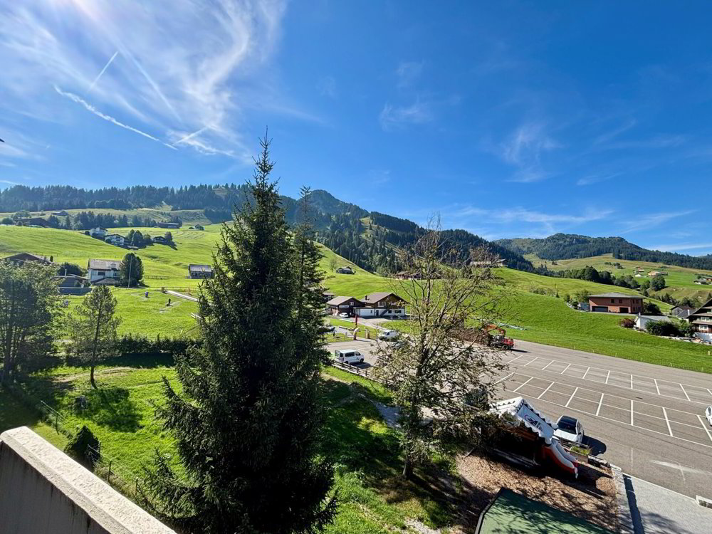 3.5 rooms Apartment for rent in Oberiberg - image 1/9