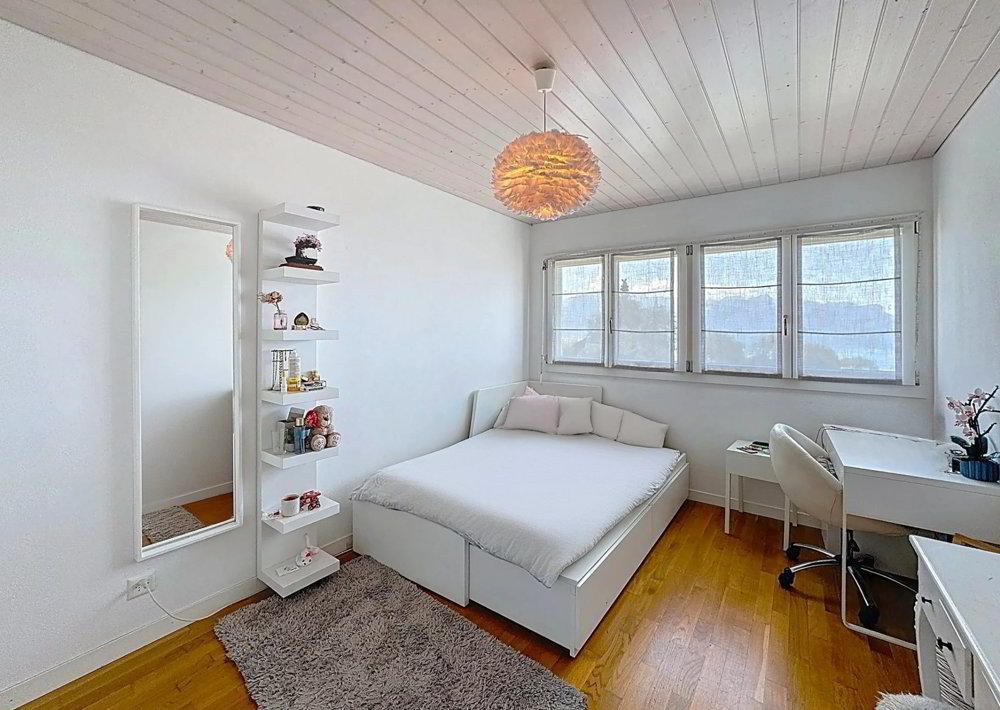 6 rooms House to buy in Blonay - image 1/13