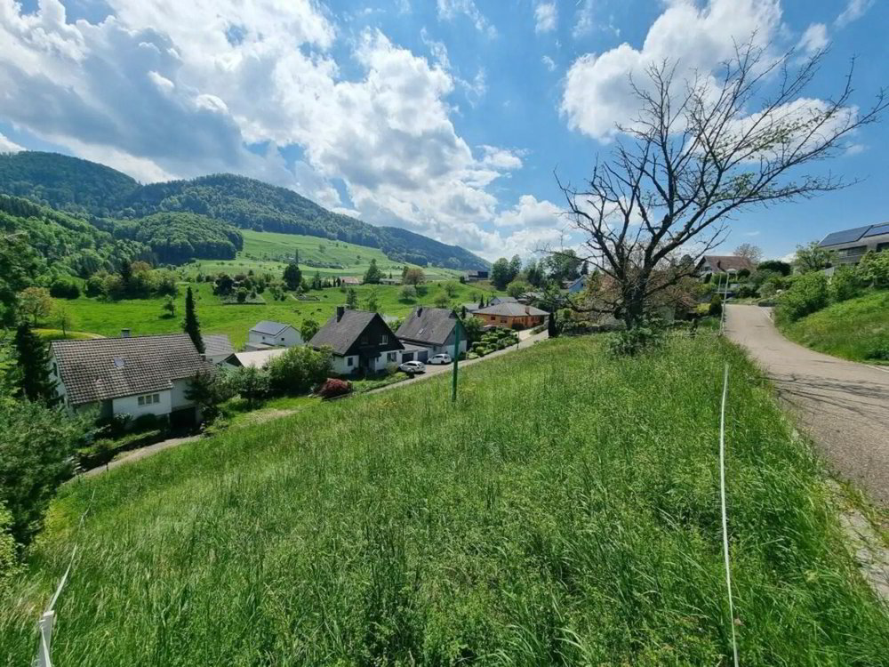 Grosses Baugrundstück mit Weitsicht in Bretzwil kaufen