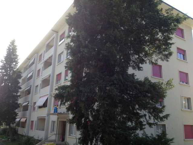 1 rooms Apartment for rent in Lausanne - image 1/2