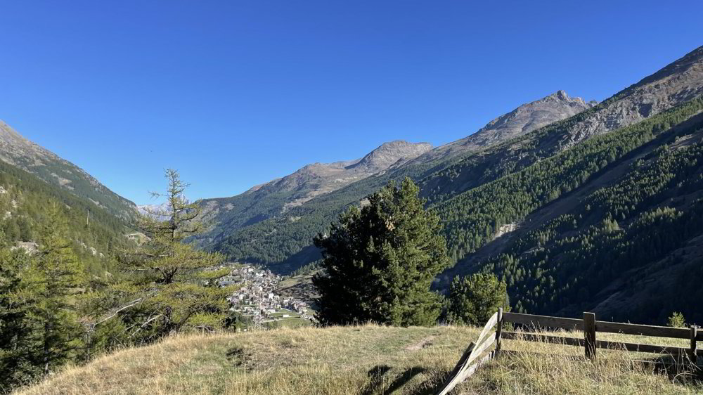 Wohnung – Saas-Fee - Ansicht 5