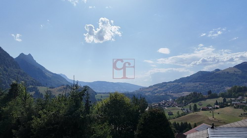 Appartement 4 pièces à acheter à Charmey (Gruyère) - image 1/3