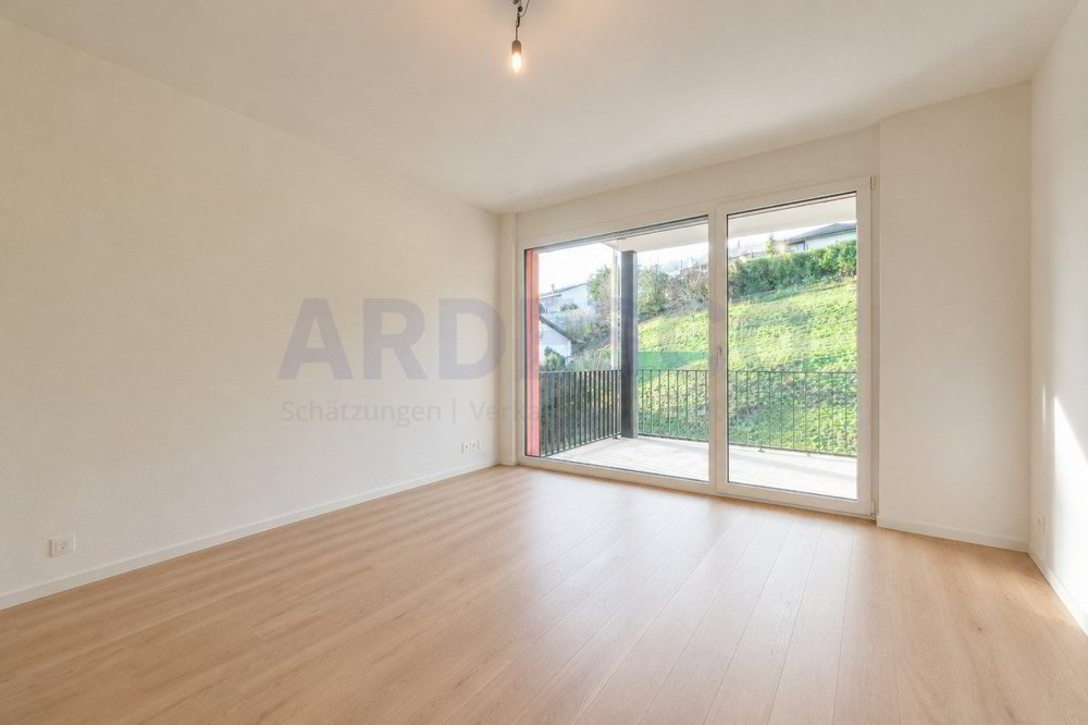 Appartamento di 5 locali in vendita a Bubendorf - immagine 1/12