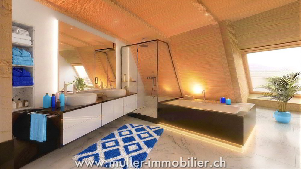 Haus – Villarimboud - Mehr