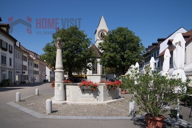 Maison 7 pièces à acheter à Klingnau - image 1/13