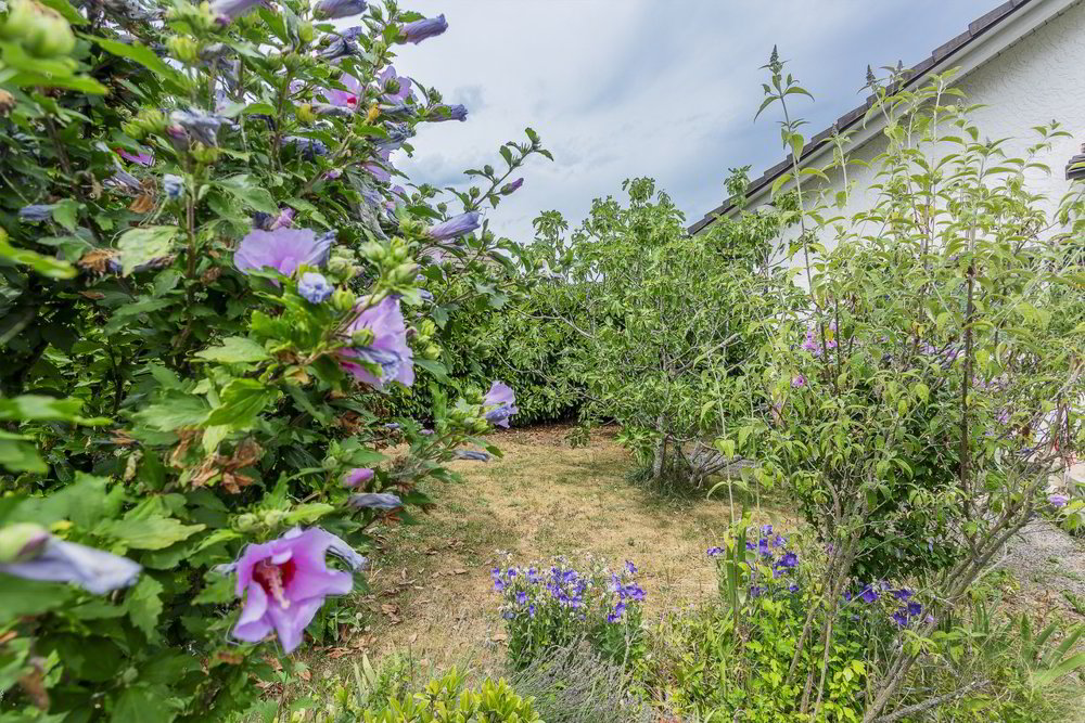 Haus – Courtepin - Ansicht 4