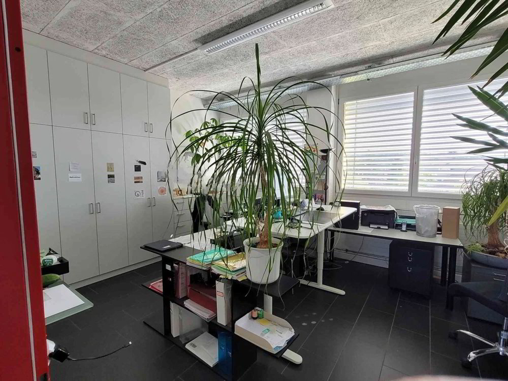 Grosszügige, helle Büroräume im Zentrum von Lyss - Ansicht 4