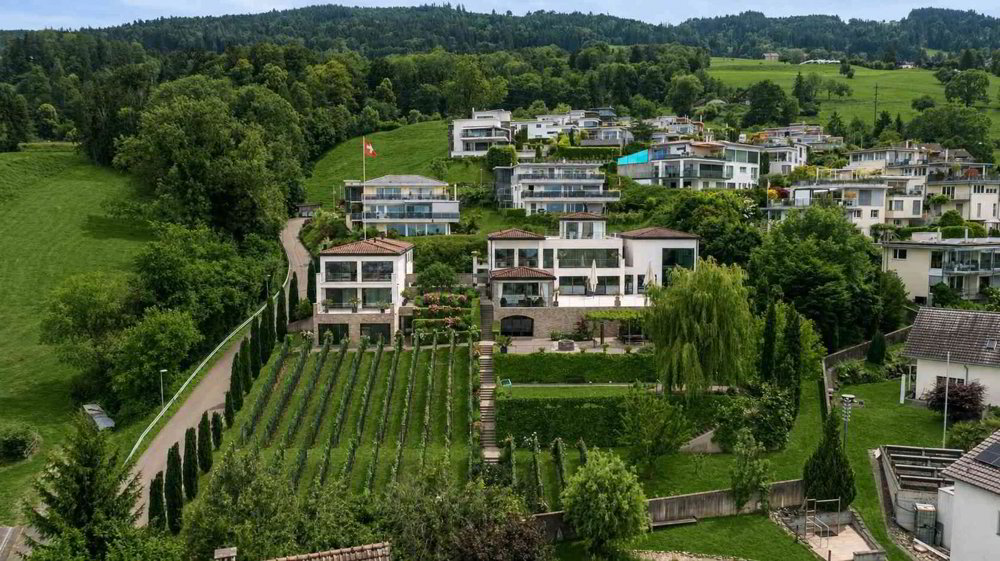 null rooms House to buy in Rorschacherberg - image 1/4