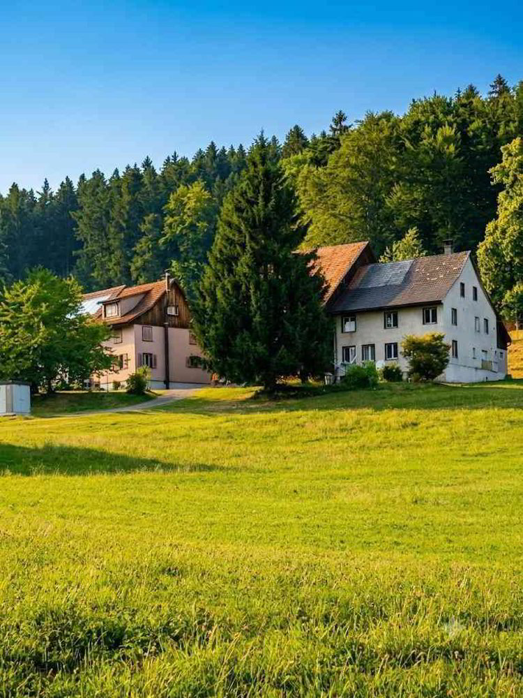 Wohnung – Dussnang, Bernhardsriet