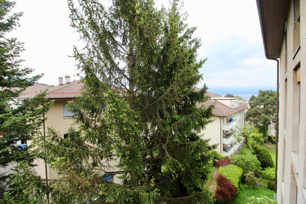2 rooms Apartment for rent in Pully - image 1/11