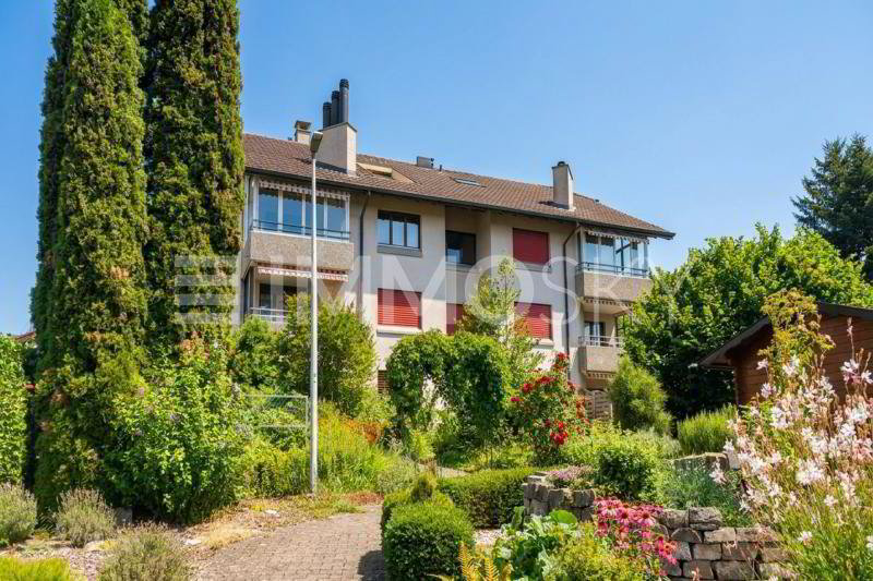 Wohnung – Moosleerau, Bezirk Zofingen