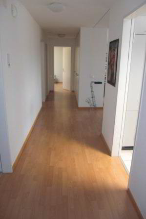 Wohnung – Luzern, Baselstrasse, Reussbühl - Ansicht 5