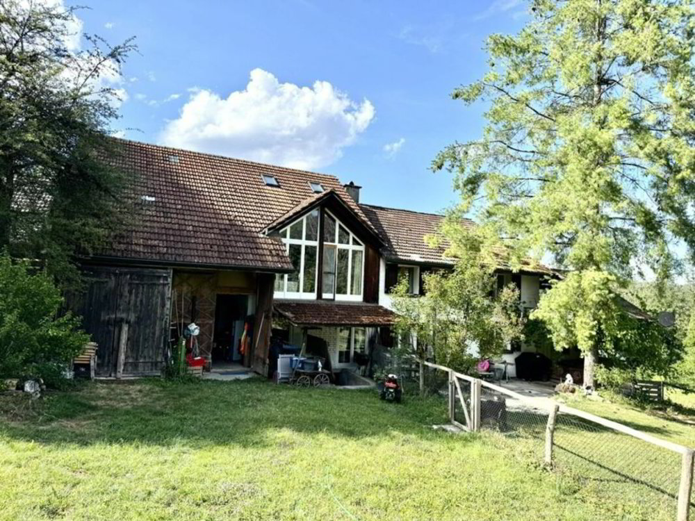 Haus – Schönholzerswilen, Waldi, Toos - Mehr