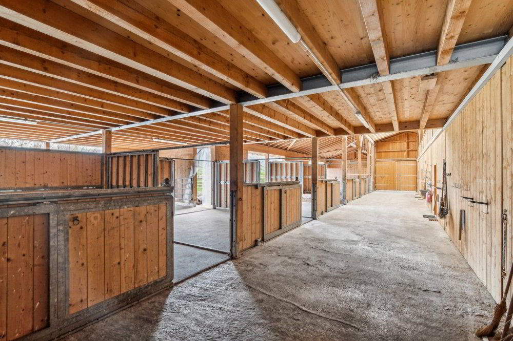 Bijou - Reitsportimmobilie mit Reithalle und Wohnhaus - Ansicht 2
